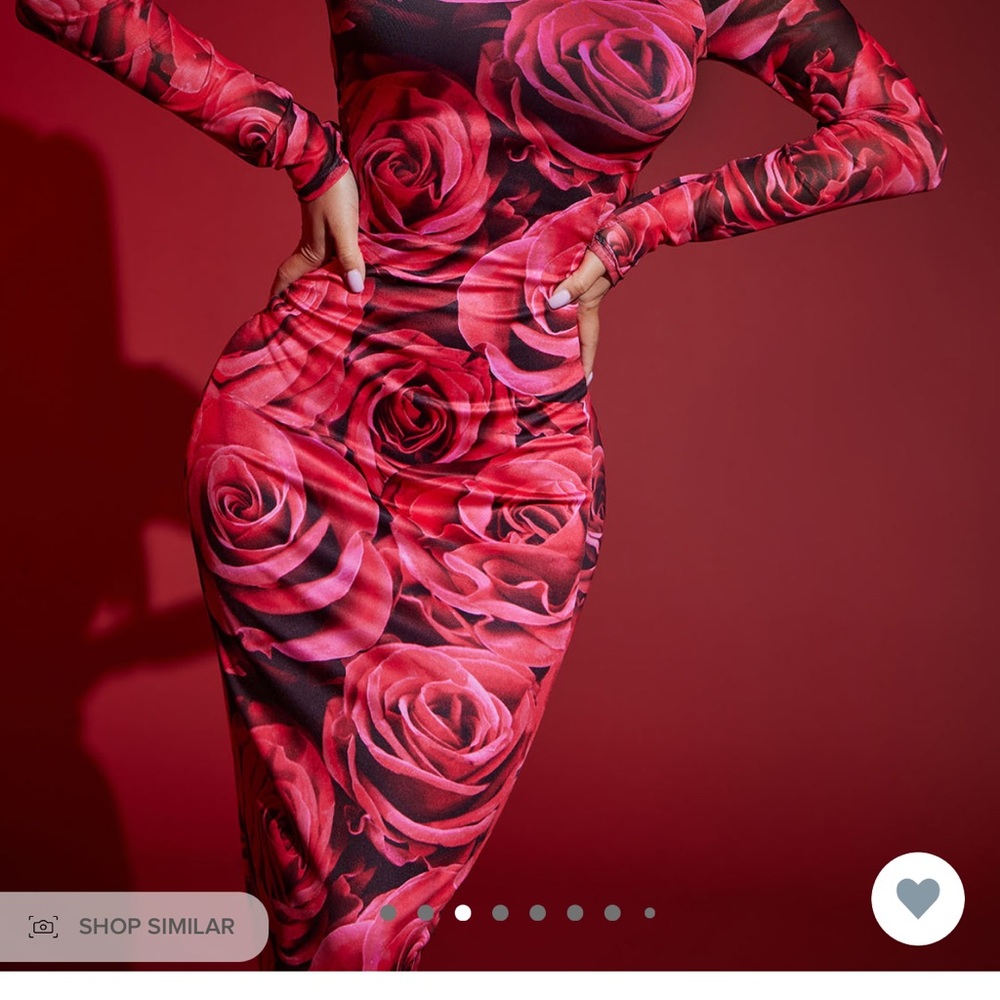 FN dress Never worn